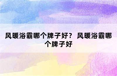 风暖浴霸哪个牌子好？ 风暖浴霸哪个牌子好